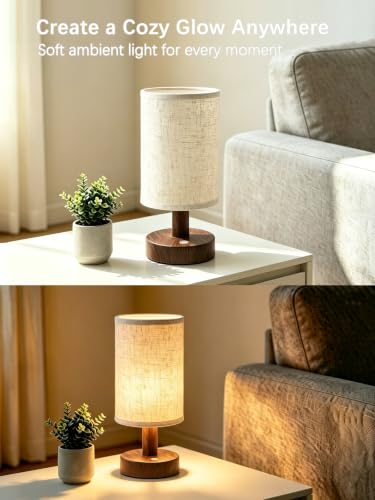 Rechargeable Cordless Table Lamp