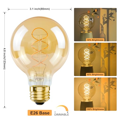 Dimmable Globe LED Vintage Edison Light Bulbs 60W Equivalent (2 Count)