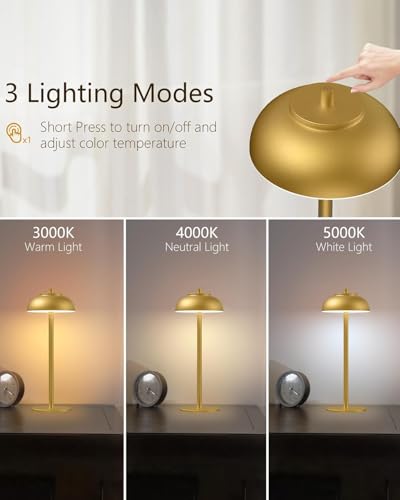 Cordless Table Lamps (4 Count)
