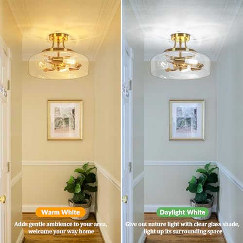 3 Light Semi Flush Mount Light Fixture