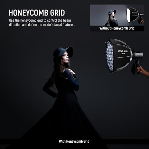 BASICS Octagonal Softbox Kit for Studio Photography Video Recording Streaming