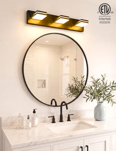 3 Light Bathroom Vanity Light (Black-5CCT / 24-Inch)