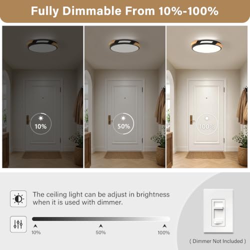 Modern LED Ceiling Light