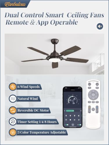 52 Inch Black Ceiling Fans with 3CCT Lights and Remote (Oil Bronze / 52")