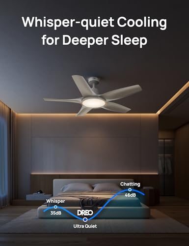Smart Ceiling Fans with Lights