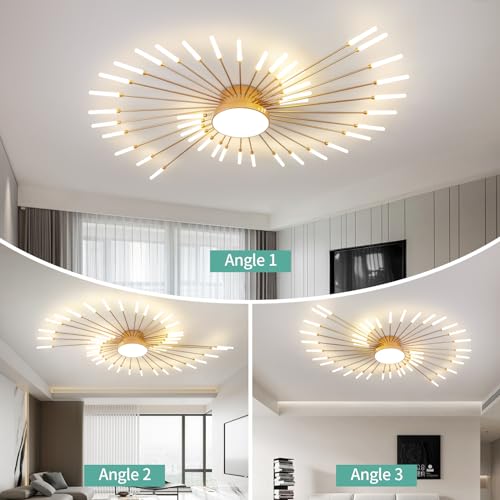 Modern Ceiling Light