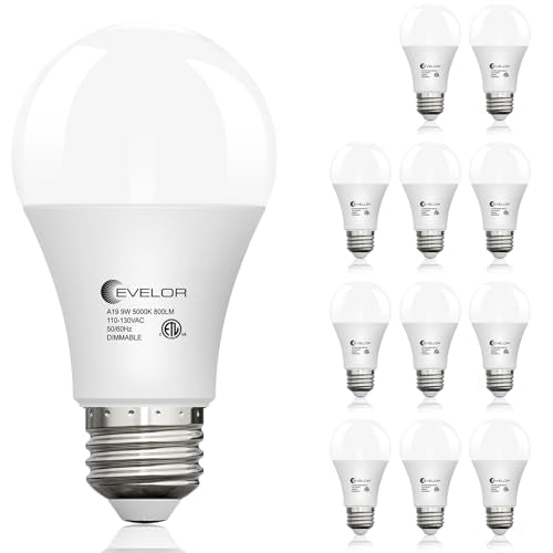12 Pack A19 LED Light Bulbs (12 Count)