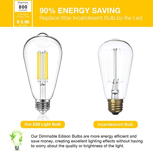 20 Pack ST58 LED Edison Bulbs (20 Count)