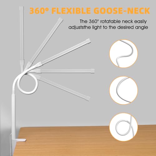 LED Desk Lamp with Clamp