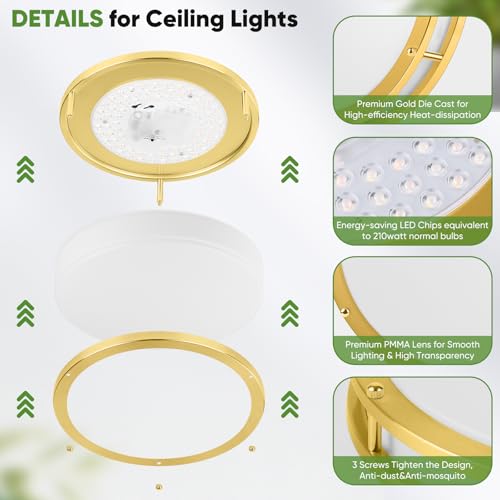 10 Inch LED Flush Mount Ceiling Lights (2 Count)
