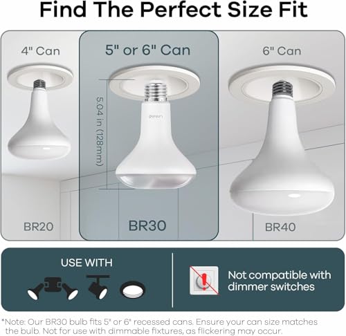 BR30 Smart Light Bulbs (4 Count)