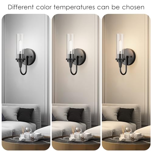 Black Wall Sconces Set of Two (2 Count)