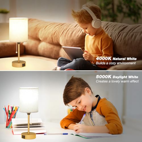 Small Bedside Table Lamp for Bedroom