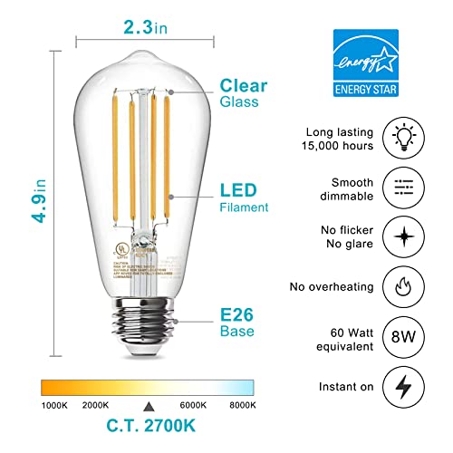 LED Edison Light Bulbs (20 Count)