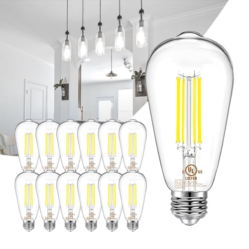 12 Pack Vintage LED Edison Bulbs (12 Count)