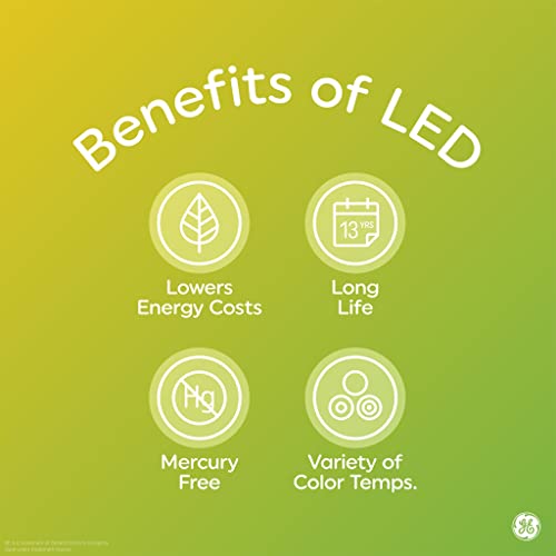 Basic LED Light Bulbs (2 Count)