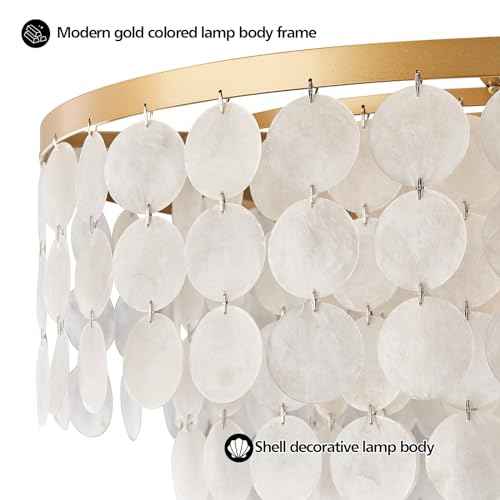 24" Capiz Shell Chandelier, 5 Light Gold Dining Room Light Fixture Modern Coastal Chandeliers for Bedroom Bathroom Kitchen and Foyer(White Seashell Lighting Fixtures)