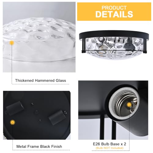 Black 2 Light Ceiling Light Fixture with Hammered Glass