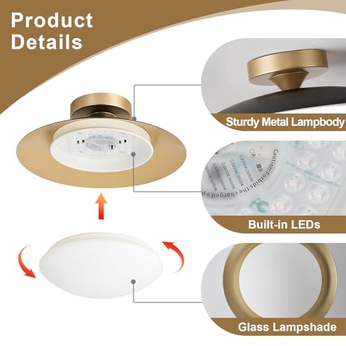Dimmable Modern Mid