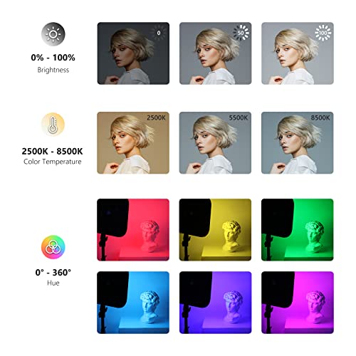 RGB168 18.3" RGB LED Video Panel Light with App Control (2 Count)