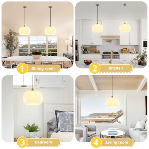 2 Pack 1 Light Dome Glass Pendant Lights