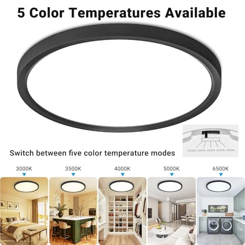 2 Pack LED Flush Mount Ceiling Light (2 Count)