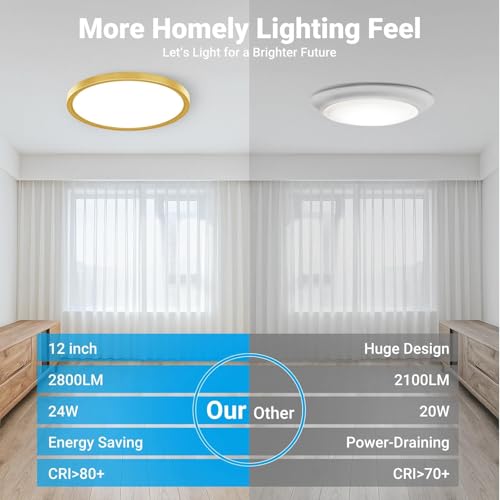 2 Pack LED Flush Mount Ceiling Light