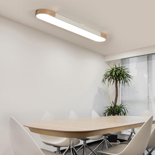 Modern LED Ceiling Light