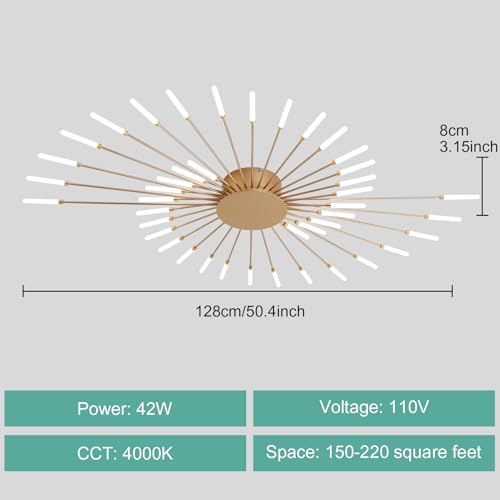 Modern Ceiling Light