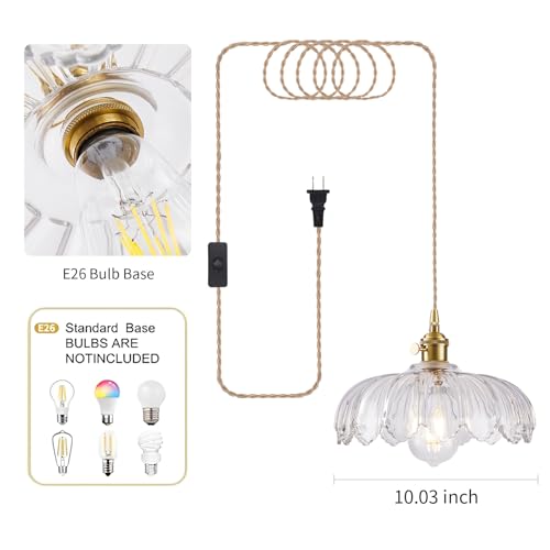 Plug in Pendant Light