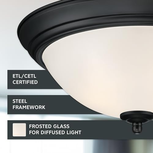 Flush Mount Ceiling Light (2 Count)
