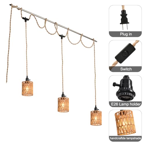 3 Light Hanging Light with Plug in Cord