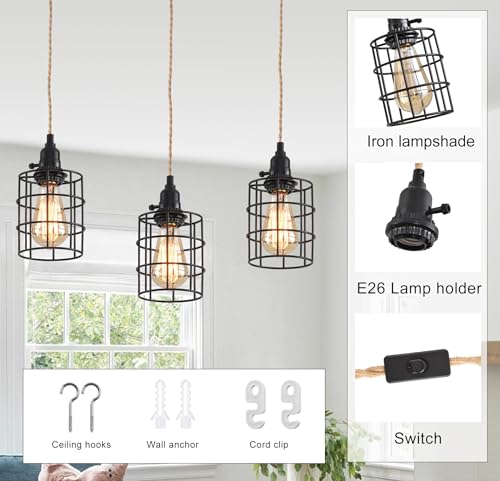 3 Light Hanging Light with Plug in Cord