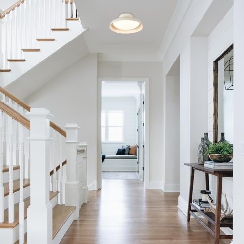 Dimmable LED Ceiling Light