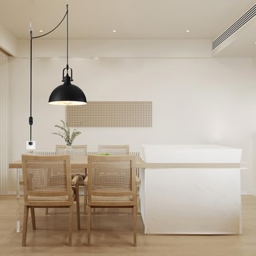 Plug in Pendant Light