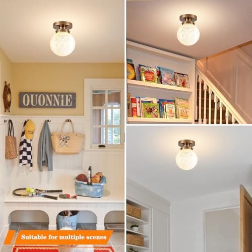 Semi Flush Mount Ceiling Light