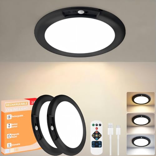 2Pack Rechargeable LED Ceiling Light (2 Count)