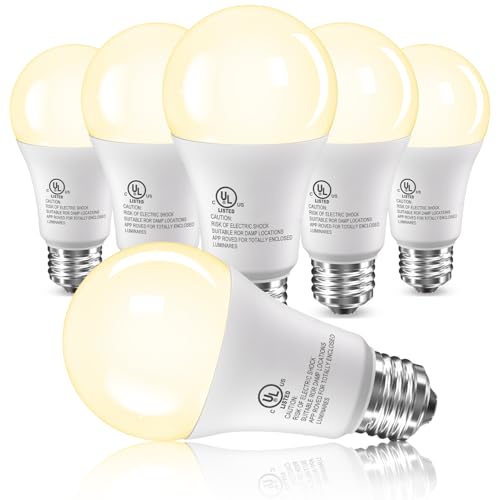 6 Pack LED Light Bulbs 100 Watt Equivalent (6 Count)