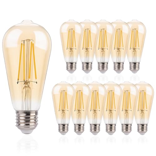 ST19 LED Edison Bulbs 40W Equivalent (12 Count)