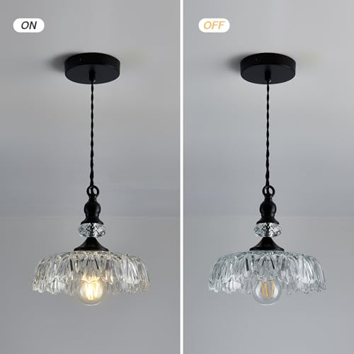 Vintage Glass Pendant Light Fixture Black Modern Adjustable Chandelier Hanging Light for Farmhouse Dining Room Kitchen Bedroom Hallway Island