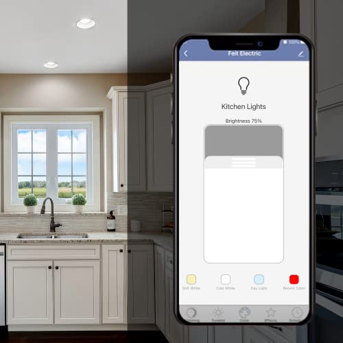 BR30 Smart Flood Light Bulb