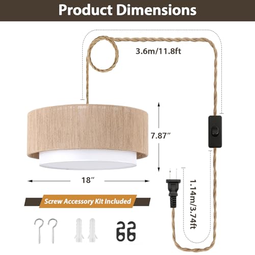 Plug in Pendant Light