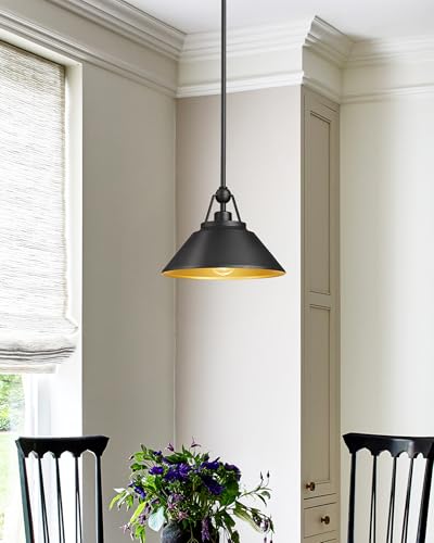 Barn Pendant Light Fixture