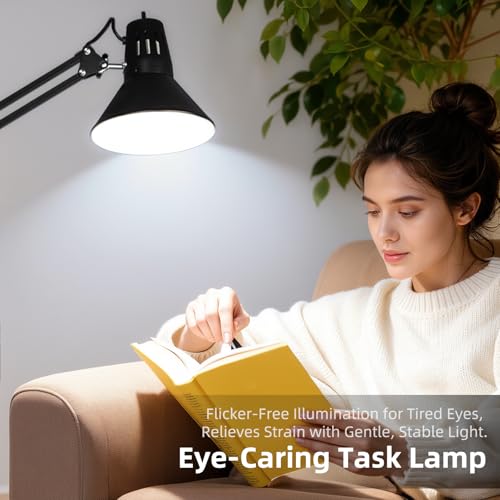 Black Desk Lamp with Clamp
