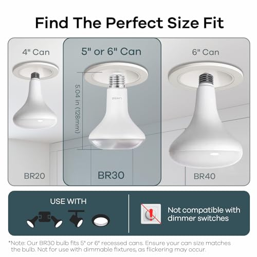 BR30 Smart Light Bulbs (4 Count)