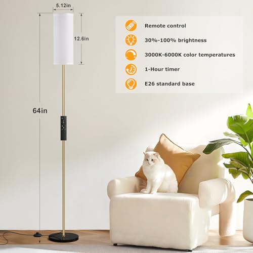 64'' Floor Lamps for Living Room with Remote Control and Stepless Dimmable Colors Temperature & Brightness