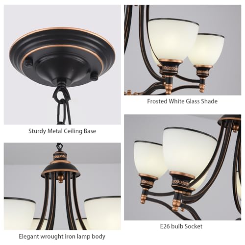 6 Light Chandelier