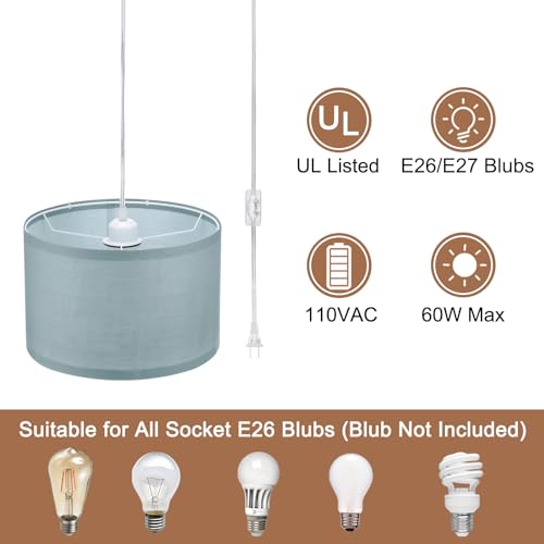 Plug in Pendant Light