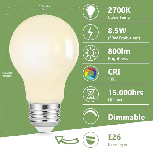 A19 LED Filament Light Bulbs (6 Count)