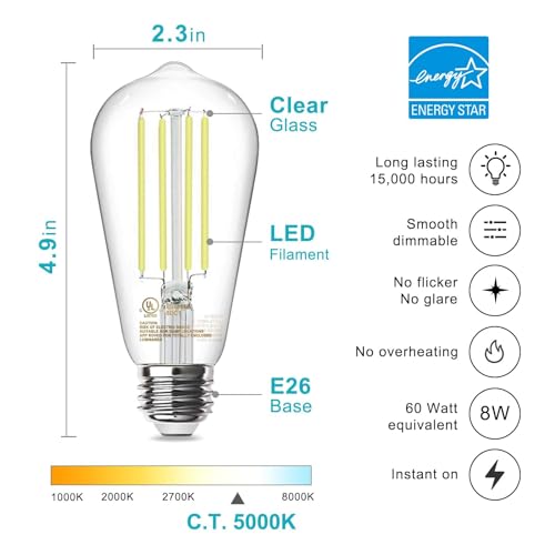 64 Pack Vintage Edison LED Light Bulbs (63.98 Count)